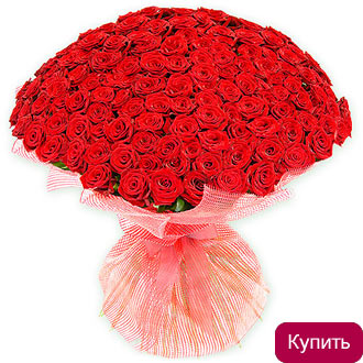 Букет из 201 бордовой розы