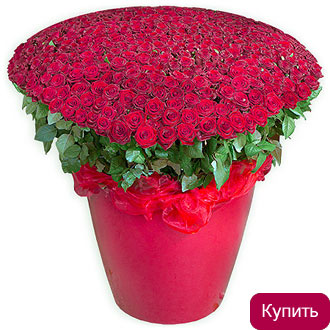 Букет 501 красная роза