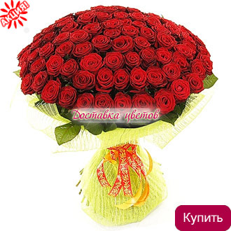 Букет 101 бордовая роза