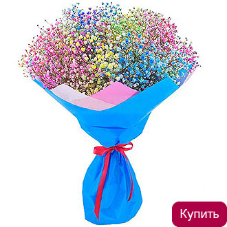 Радужная гипсофила