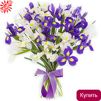 Ирисы в букете