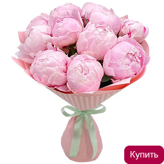 Розовые пионы