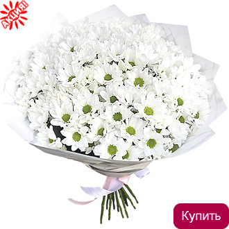 Недорогой букет из кустовых хризантем