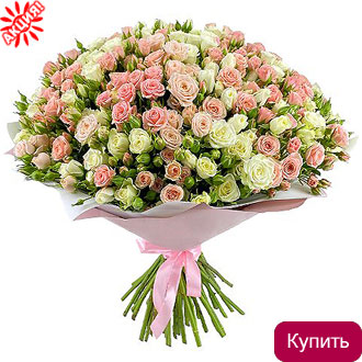 Букет Премьера