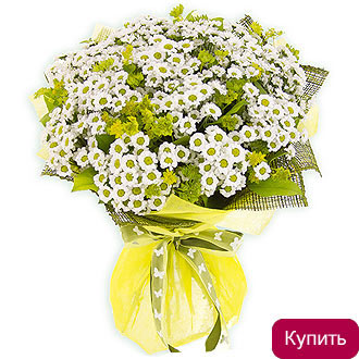 Букет хризантемы - ромашки