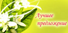 Лучшее предложение