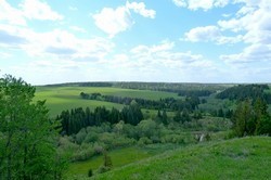Цветы в Алнаши