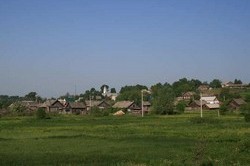 Цветы в Сюмси